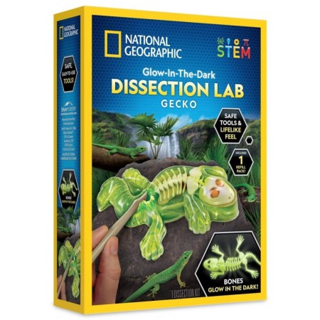 National Geographic - Kit creativ laborator de disectie soparla National Geographic - 1